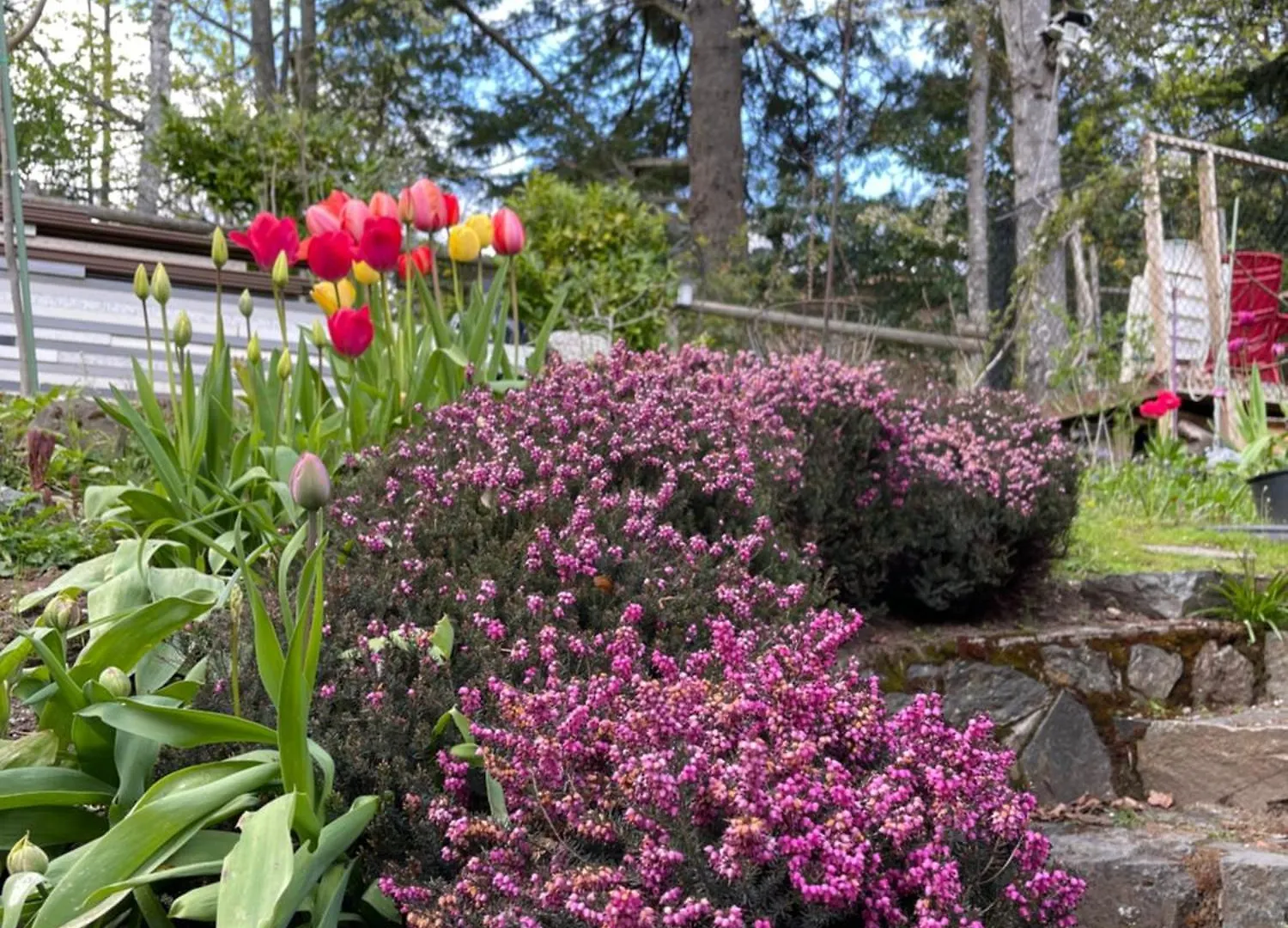 Uvic Cottage Victoria