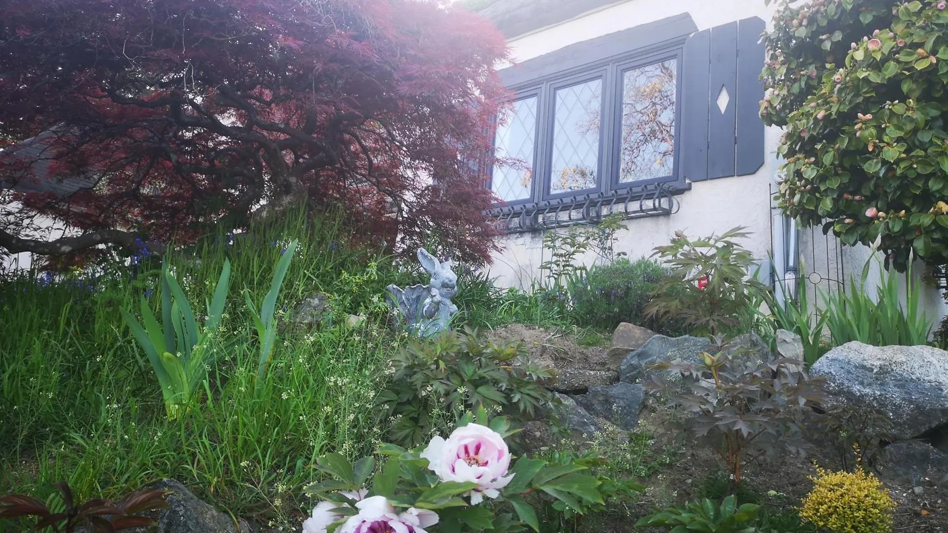 Lodge Uvic Cottage Victoria